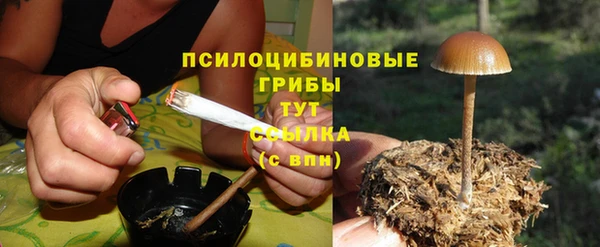гидропоника Осинники