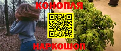 apvp Гагарин