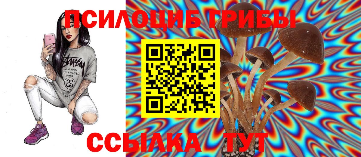 Урюпинск  Галлюциногенные грибы Psilocybe  Вход с VPN 