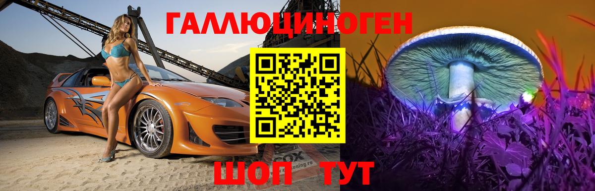 магазин  наркотиков  Урюпинск  Псилоцибиновые грибы GOLDEN TEACHER  Галлюциногенные грибы Cubensis 