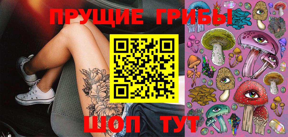 Псилоцибиновые грибы Psilocybine cubensis Урюпинск